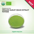 HACCP factory Premium Quality superfood  barley grass powder organic